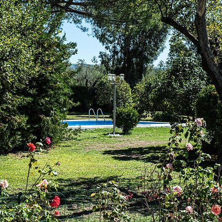 Terre Etrusche Guest House-Terme -3 Minuti Da Viterbo Centro 外观 照片
