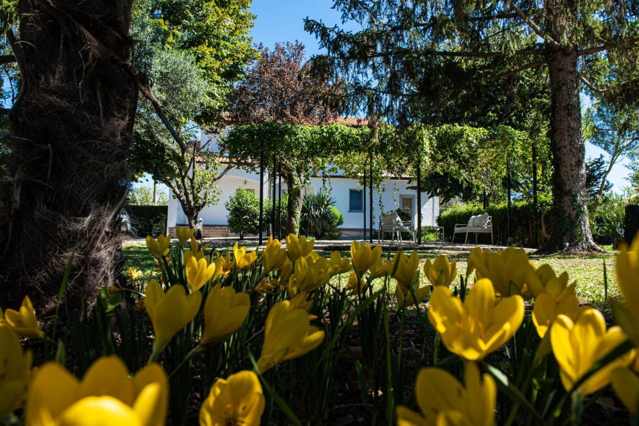 Terre Etrusche Guest House-Terme -3 Minuti Da Viterbo Centro 外观 照片