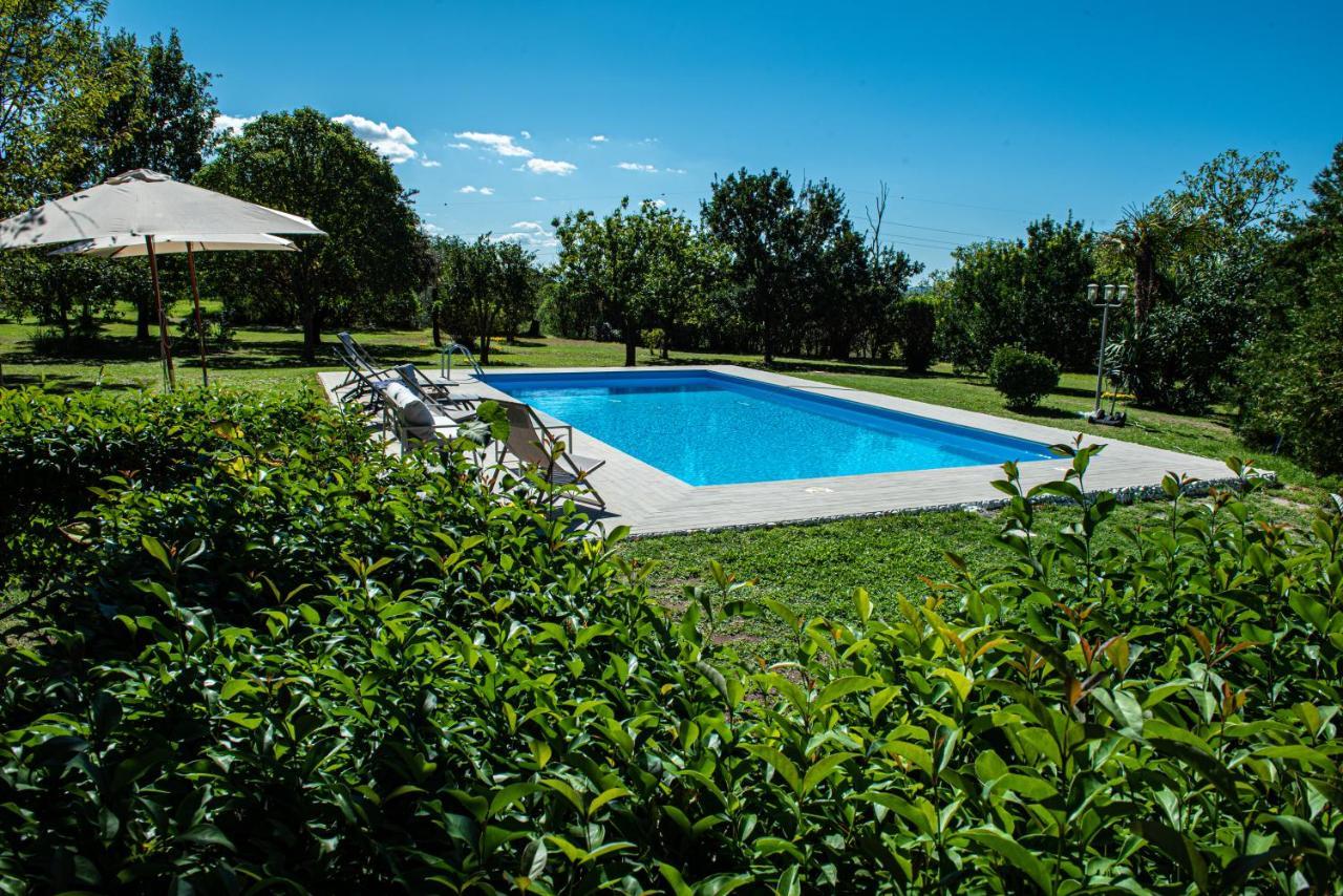 Terre Etrusche Guest House-Terme -3 Minuti Da Viterbo Centro 外观 照片